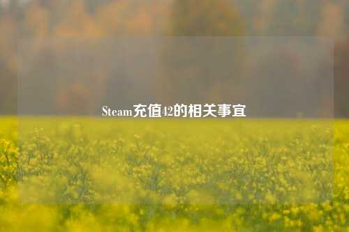 Steam充值42的相关事宜