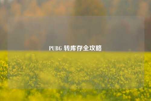 PUBG 转库存全攻略