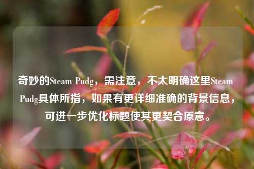 奇妙的Steam Pudg，需注意，不太明确这里Steam Pudg具体所指，如果有更详细准确的背景信息，可进一步优化标题使其更契合原意。