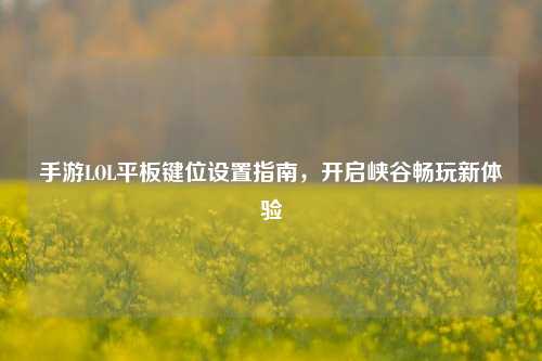 手游LOL平板键位设置指南,开启峡谷畅玩新体验