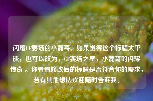 闪耀CF赛场的小磊哥，如果觉得这个标题太平淡，也可以改为，CF赛场之星，小磊哥的闪耀传奇 。你看看修改后的标题是否符合你的需求，若有其他想法欢迎随时告诉我。