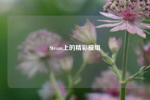 Steam上的精彩模组