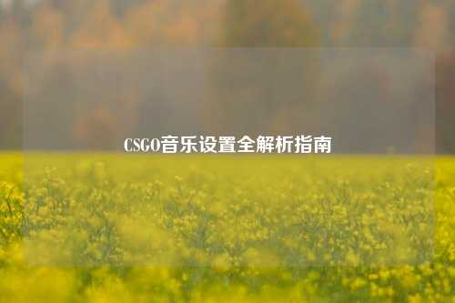 CSGO音乐设置全解析指南