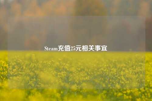 Steam充值25元相关事宜