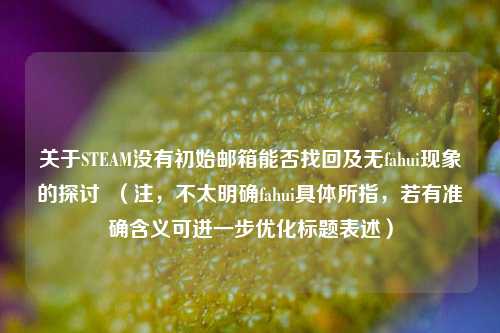 关于STEAM没有初始邮箱能否找回及无fahui现象的探讨 (注,不太明确fahui具体所指,若有准确含义可进一步优化标题表述)