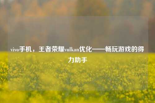vivo手机，王者荣耀vulkan优化——畅玩游戏的得力助手