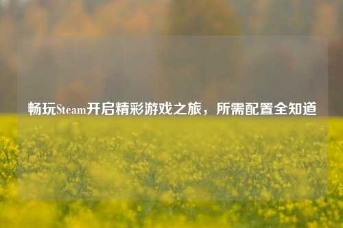 畅玩Steam开启精彩游戏之旅,所需配置全知道