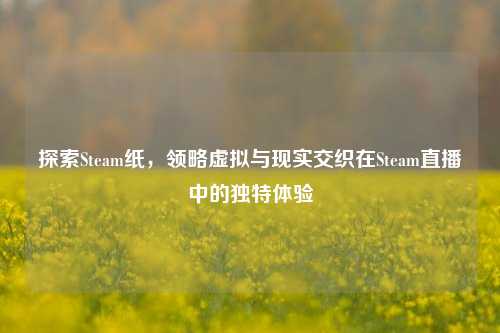探索Steam纸,领略虚拟与现实交织在Steam直播中的独特体验