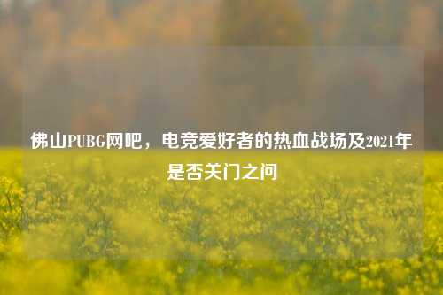 佛山PUBG网吧,电竞爱好者的热血战场及2021年是否关门之问