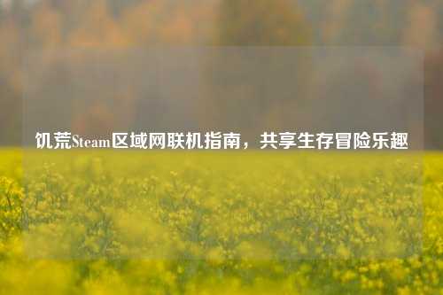 饥荒Steam区域网联机指南,共享生存冒险乐趣