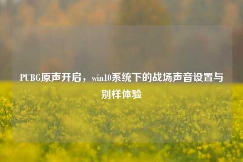 PUBG原声开启,win10系统下的战场声音设置与别样体验