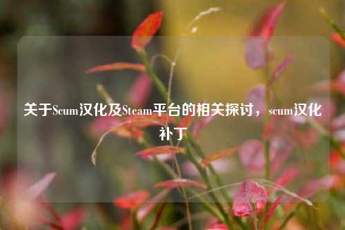 关于Scum汉化及Steam平台的相关探讨，scum汉化补丁