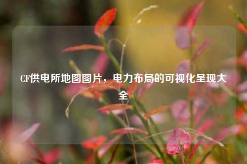 CF供电所地图图片,电力布局的可视化呈现大全