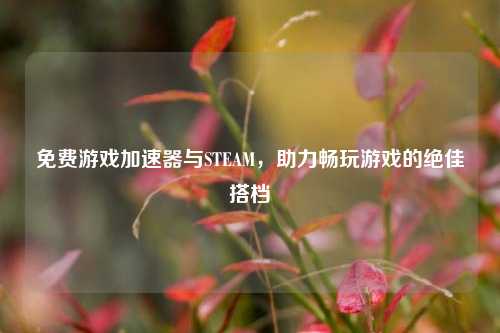 免费游戏加速器与STEAM，助力畅玩游戏的绝佳搭档