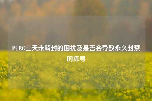 PUBG三天未解封的困扰及是否会导致永久封禁的探寻