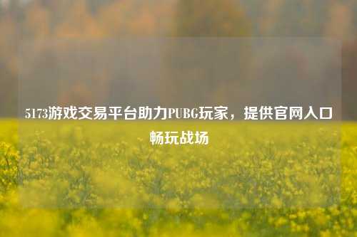 5173游戏交易平台助力PUBG玩家，提供官网入口畅玩战场