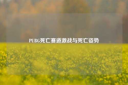PUBG死亡赛道激战与死亡姿势