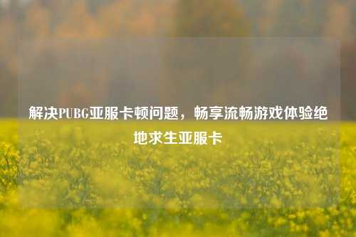 解决PUBG亚服卡顿问题，畅享流畅游戏体验绝地求生亚服卡