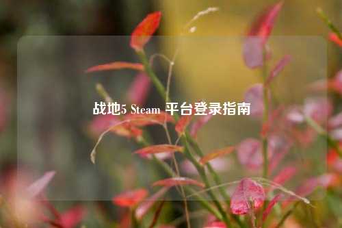 战地5 Steam 平台登录指南