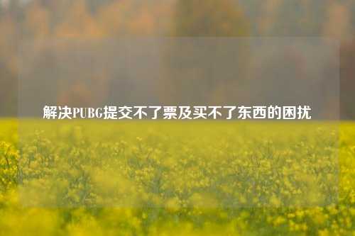 解决PUBG提交不了票及买不了东西的困扰