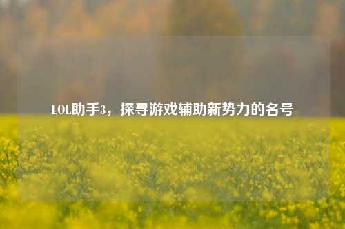 LOL助手3，探寻游戏辅助新势力的名号