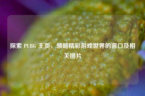 探索 PUBG 主页，领略精彩游戏世界的窗口及相关图片