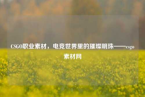 CSGO职业素材,电竞世界里的璀璨明珠——csgo素材网