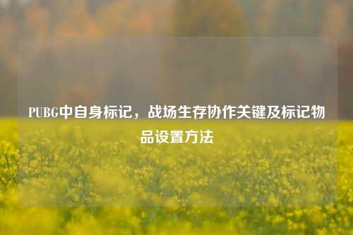 PUBG中自身标记,战场生存协作关键及标记物品设置 ***