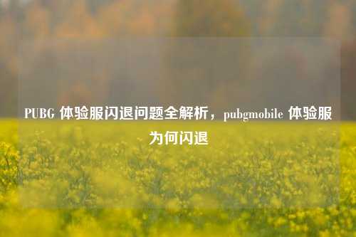 PUBG 体验服闪退问题全解析，pubgmobile 体验服为何闪退