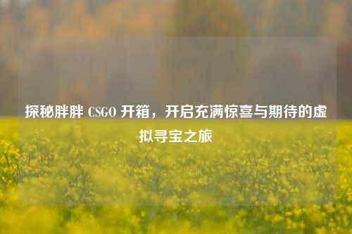 探秘胖胖 CSGO 开箱,开启充满惊喜与期待的虚拟寻宝之旅