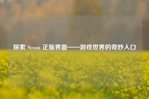 探索 Steam 正版界面——游戏世界的奇妙入口
