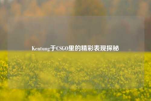 Kentung于CSGO里的精彩表现探秘