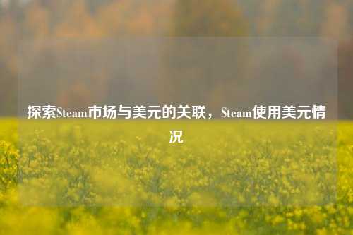 探索Steam市场与美元的关联，Steam使用美元情况