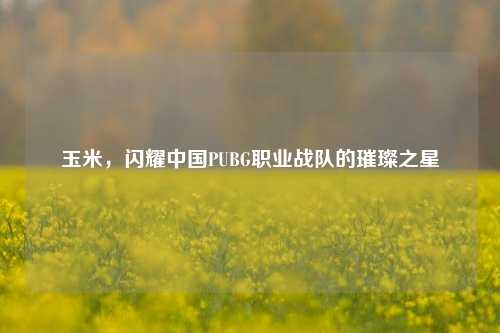 玉米，闪耀中国PUBG职业战队的璀璨之星
