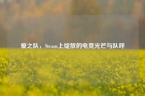 爱之队，Steam上绽放的电竞光芒与队呼