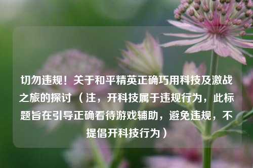 切勿违规!关于和平精英正确巧用科技及激战之旅的探讨 (注,开科技属于违规行为,此标题旨在引导正确看待游戏辅助,避免违规,不提倡开科技行为)