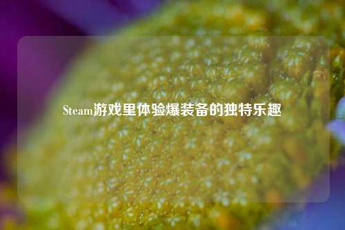 Steam游戏里体验爆装备的独特乐趣