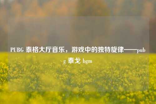 PUBG 泰格大厅音乐,游戏中的独特旋律——pubg 泰戈 bgm
