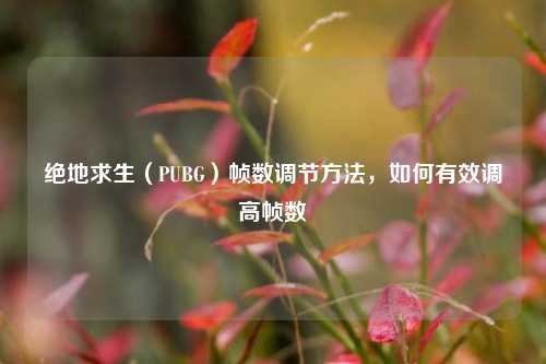 绝地求生(PUBG)帧数调节 *** ,如何有效调高帧数