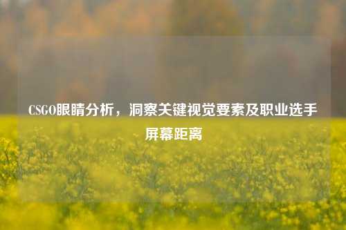 CSGO眼睛分析,洞察关键视觉要素及职业选手屏幕距离