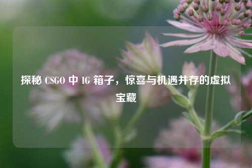 探秘 CSGO 中 IG 箱子，惊喜与机遇并存的虚拟宝藏