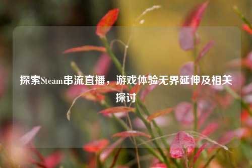 探索Steam串流直播，游戏体验***延伸及相关探讨