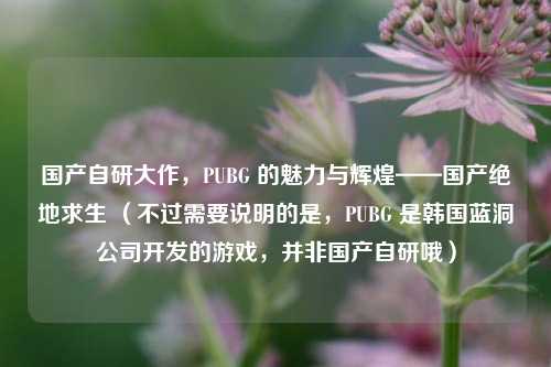 国产自研大作，PUBG 的魅力与辉煌——国产绝地求生 （不过需要说明的是，PUBG 是韩国蓝洞公司开发的游戏，并非国产自研哦）