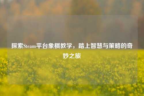 探索Steam平台象棋教学,踏上智慧与策略的奇妙之旅