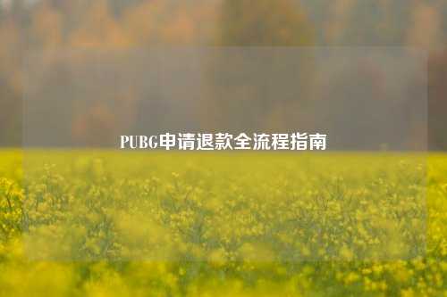 PUBG申请退款全流程指南
