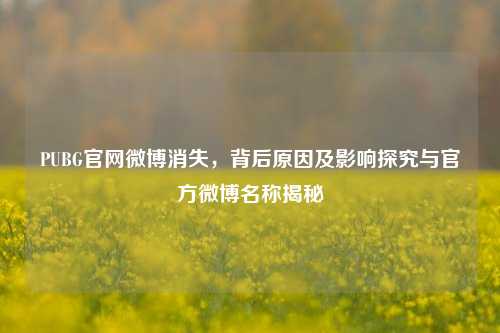 PUBG官网微博消失，背后原因及影响探究与官方微博名称揭秘