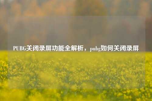 PUBG关闭录屏功能全解析,pubg如何关闭录屏