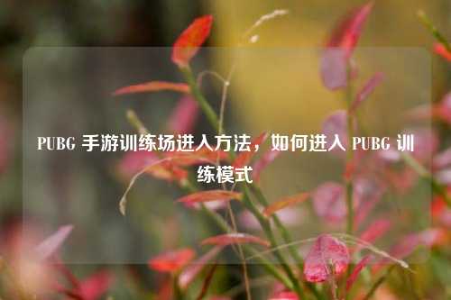 PUBG 手游训练场进入 *** ,如何进入 PUBG 训练模式