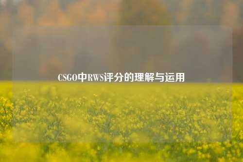 CSGO中RWS评分的理解与运用