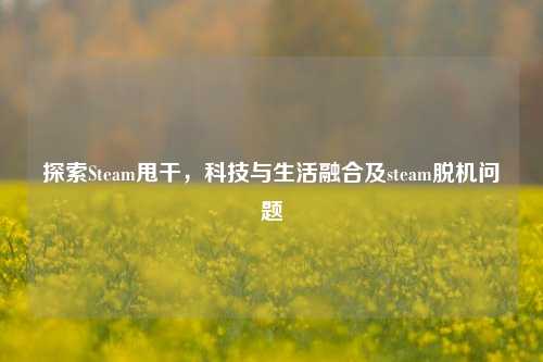 探索Steam甩干，科技与生活融合及steam脱机问题